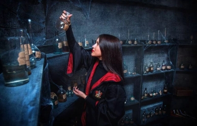Квест Гарри Поттер: В поисках крестража